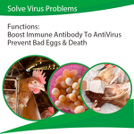 Herb Star Extract - Echinacea Poultry Anti Respiratory Virus Supplement