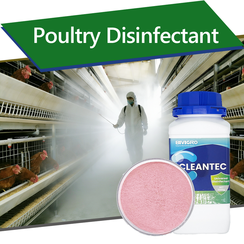 Potassium Peroxymonosulfate Disinfectant - Poultry Farm Chicken Coop Disinfection