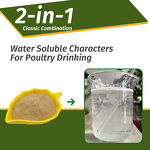 Bacillus Subtilis Probiotic - Water Soluble Poultry Egg Improvement Broiler Growth