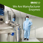 Glucose Oxidase Enzyme - Feed Grade Aflatoxin Degrading Mycotoxin Biodegradation