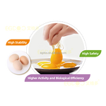 Feed Premix Manufacturer - Vitamin Powder for Layer Chicken During Laying Period