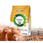 Poultry Feed Additives Manufacturer - for Hens Chicks Immunity Enhancement Hot