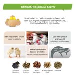 Layer Breeder Premix Manufacturer - Feed Grade Amino Acids to Enhance Egg Production