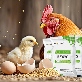 Poultry Breeder Supplement Manufacturer - Mineral Enrichment to Strengthen Bones