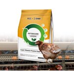 Feed Additive Manufacturer - Premix to Increase Egg Production Growth & Fertility