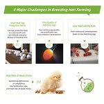 Avian Breeder Feed Supplement Manufacturer - with Enhanced Choline Chloride for Metabolism