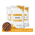 Layer Premix Manufacturer - Golden Comet 5% Calcium Boost for Optimal Egg Production