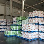 Layer Premix Manufacturer - Golden Comet 5% Calcium Boost for Optimal Egg Production