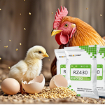Avian Reproductive Feed Premix Manufacturer - Amino Acid Balanced Formula for Muscle Development