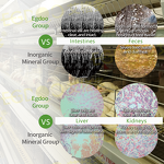 Poultry Feed Premix Factory - Egdoo 25kg/bag Vitamin Premix for Layer Chicken