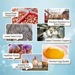 Layer Premix Manufacturer - Golden Comet 5% Calcium Boost for Optimal Egg Production