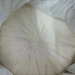 Pancreatin - Proteolytic Enzyme Digestive Supplement