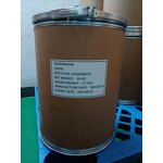 Pancreatin - Proteolytic Enzyme Digestive Supplement