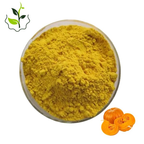 Pumpkin Powder Manufacturer - Bulk Dry Pure Natural Organic Freeze Dried Best Price