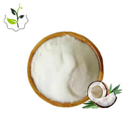 Coconut Milk Powder Manufacturer - Food Grade 100% Pure ISO Halal GMP Drum