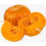 Pumpkin Powder Manufacturer - Bulk Dry Pure Natural Organic Freeze Dried Best Price