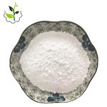 Chitosan Oligosaccharide Manufacturer - Water Soluble Agrar Food Grade Top Quality