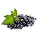 Black Currant Powder Factory - 99% Herbal Extract Vitamin C Food Grade Best Price