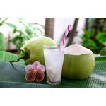 Coconut Milk Powder Manufacturer - Natural Juice Cream Powder China Manufacturer Price
