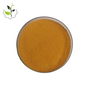 Coenzyme Q10 Powder Manufacturer - 98% Antioxidant Healthcare Supplement 30-45mg Daily