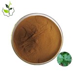Epimedium Extract Capsules Manufacturer - 10%-60% Icariin Horny Goat Weed Wholesale