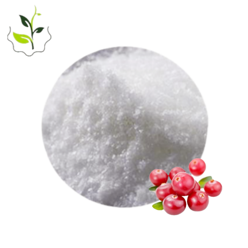Alpha Arbutin Powder Manufacturer - 100% Pure Healthcare Supplement for Adults