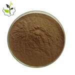 Tribulus Terrestris Powder Manufacturer - Pure Natural Wholesale in Drum Glass Container