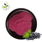 Black Currant Powder Factory - 99% Herbal Extract Vitamin C Food Grade Best Price