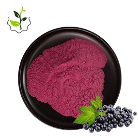 Black Currant Powder Factory - 99% Herbal Extract Vitamin C Food Grade Best Price
