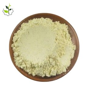 Grapefruit Extract Powder Factory - 98% Naringin Naringin DC High Quality