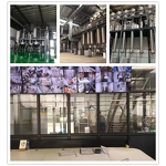 Grapefruit Extract Powder Factory - 98% Naringin Naringin DC High Quality