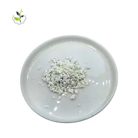 Creatine Monohydrate Powder Manufacturer - White 200 Mesh for Gym Supplements Hot Selling