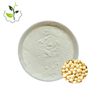 Soy Isoflavone Powder Manufacturer - 80% Soybean Extract Best Price High Quality