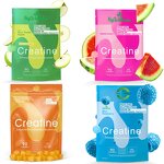 Creatine Monohydrate Gummies - Factory Vegan 90 Count Pre Workout Energy Management