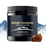 Himalayan Shilajit Gummies - Private Label Memory Focus Natural Immune Support