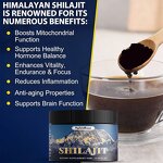 Omega 3 Fish Oil - OEM Deep Sea Dog Cat Reduce Shedding Joint Support Liquid