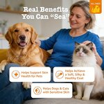 Omega 3 Pet Softgels - OEM Natural Dog Shiny Coat Immunity Wellness Supplement