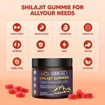 Himalayan Shilajit Gummies - Nature Pure 105+ Trace Minerals Adult Immune Support