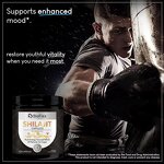 Shilajit Capsules - Private Label 120 Count Lions Mane Ashwagandha Immunity