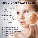 NAD Booster Drops - OEM Private Label Liposomal Anti-Aging 60ml Liquid