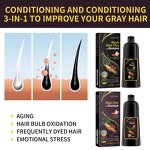 Hair Dye Shampoo - OEM Manufacturer Price 3-IN-1 Black/Brown Professional