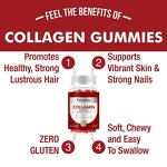Collagen Biotin Gummies - Vanwin Private Label Vitamin C Hair Skin Nails Immunity