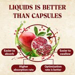 Urolithin Liquid Drops - Vanwin Custom Anti-Aging Vitamin C Collagen Antioxidant