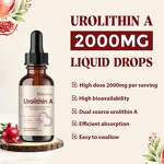 Urolithin Liquid Drops - Vanwin Custom Anti-Aging Vitamin C Collagen Antioxidant