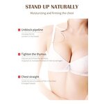 Breast Enhancement Cream - Vanwin High Quality Herbal Size up Enlargement