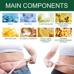 Ginger Body Slimming Cream - Vanwin Natural Vegan Tummy Stomach Weight Loss