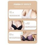Breast Enhancement Cream - Vanwin High Quality Herbal Size up Enlargement