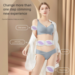 Waist Fitness Belt Manufacturer - Portable Smart Vibration Shaking Massager