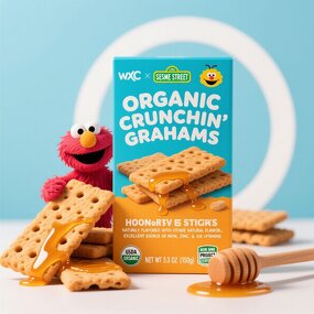 Sesame Street Toddler Grahams - Low MOQ Organic Honey Sticks Iron Zinc B Vitamins