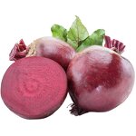 Organic Red Beet Root Powder - Natural Factory Supply Bulk Superfood Supplement